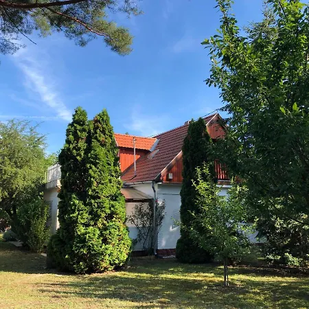 Hortenzia * Balatonfoldvar